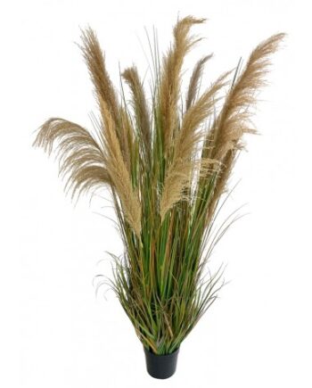 Stor Kunstig Pampas Græs Plante H185
