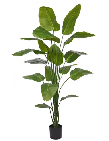 Stor Kunstig Strelitzia Plante H210 Grøn