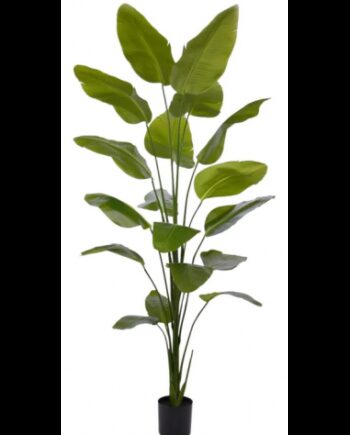 Stor Kunstig Strelitzia Plante H225 Grøn