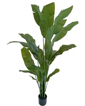 Stor Kunstig Traveler Plante H210