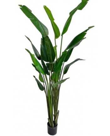 Stor Kunstig Traveler Plante H240