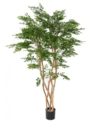 Stort Kunstigt Acacia Træ H180