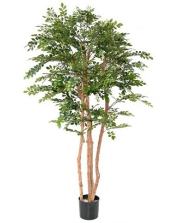 Stort Kunstigt Acacia Træ H200