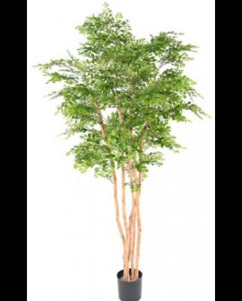 Stort Kunstigt Acacia Træ H210