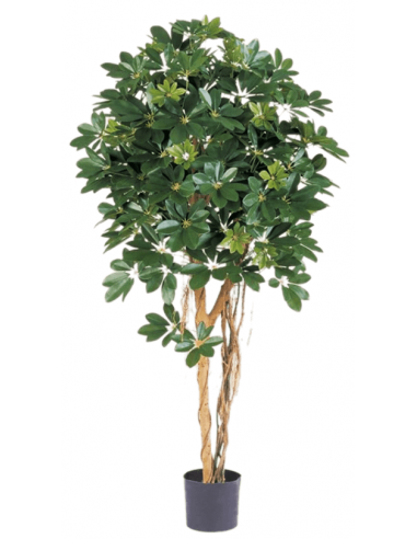 Kunstigt Schefflera Træ H140