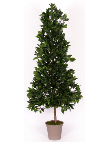 Stort Kunstigt Laurel Træ H180