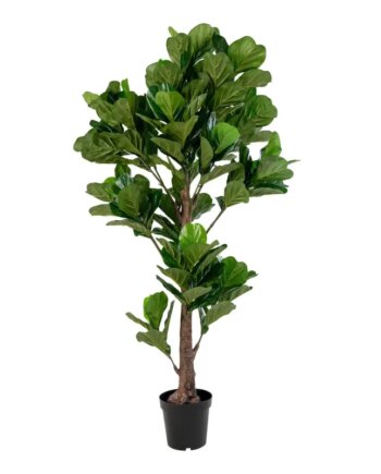 Violinfigen Kunstig Plante 190 9501050