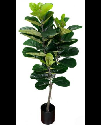 Kunstig Ficus Plante H150 Grøn