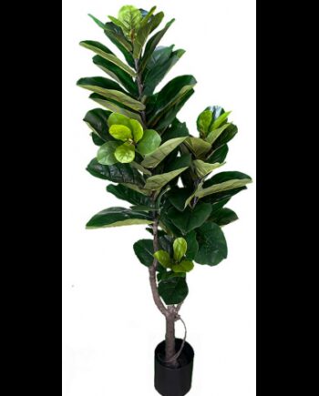 Kunstig Ficus Plante H180 Grøn