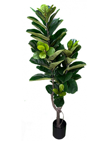 Kunstig Ficus Plante H180 Grøn