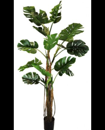 Kunstig Monstera Plante H210 Grøn
