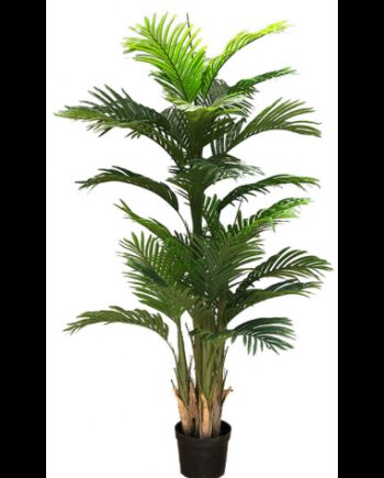 Kunstig Ravenea Plante H180 Grøn
