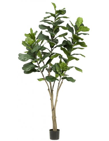 Kunstigt Ficus Lyrata Træ H210