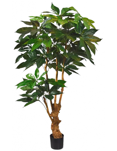 Kunstigt Schefflera Actoniphylla Træ H165