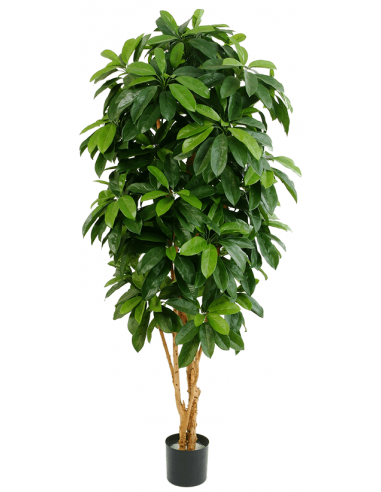 Kunstigt Schefflera Træ H172