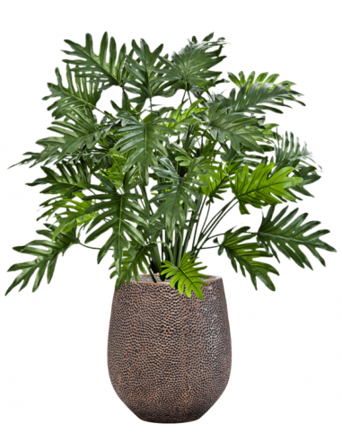 Sammenplantning Med Krukke Kunstig Philodendron Plante H110