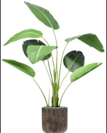 Sammenplantning Med Krukke Kunstig Strelitzia Plante H150