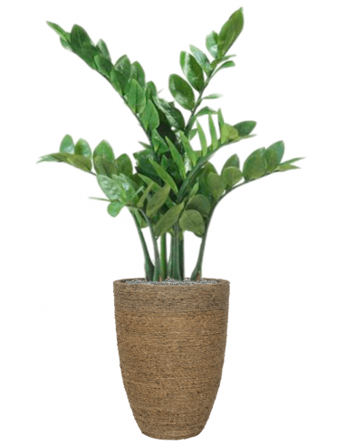 Sammenplantning Med Krukke Kunstig Zamioculcas Plante H109