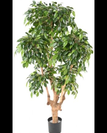 Stor Kunstig Ficus Plante H170