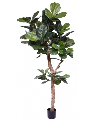 Stor Kunstig Lyrata Plante H210 Grøn