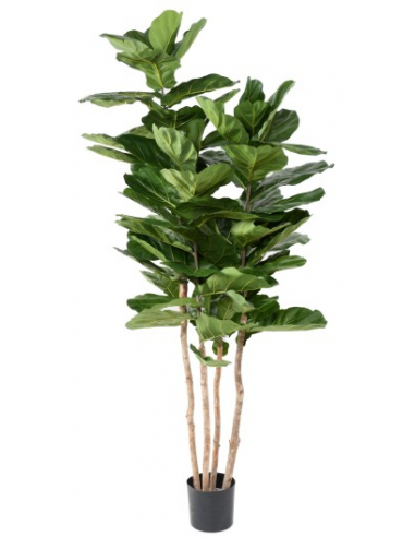 Stor Kunstig Lyrata Plante H210
