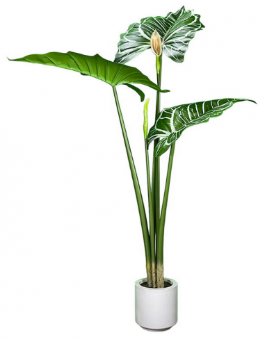 Kunstig Alocasia Plante H140 Grøn