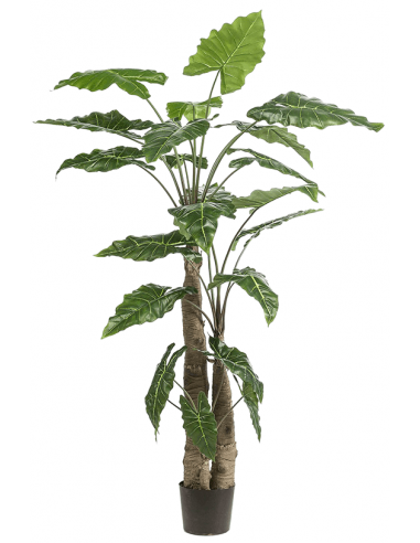 Kunstig Alocasia Plante H180