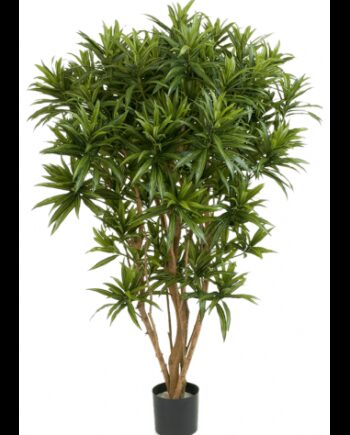Kunstigt Dracaena Reflexa Jamaica Træ H150