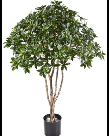Kunstigt Euonymus Japonicus Træ H120