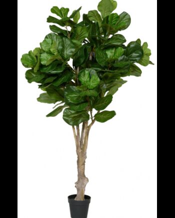 Kunstigt Ficus Lyrata Træ H180