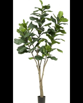 Kunstigt Ficus Lyrata Træ H210