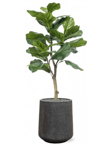 Sammenplantning Med Krukke Kunstig Ficus Lyrata Plante H129