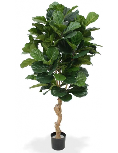 Stor Kunstig Lyrata Plante H160 Grøn