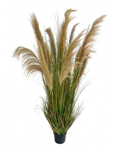 Stor Kunstig Pampas Græs Plante H185